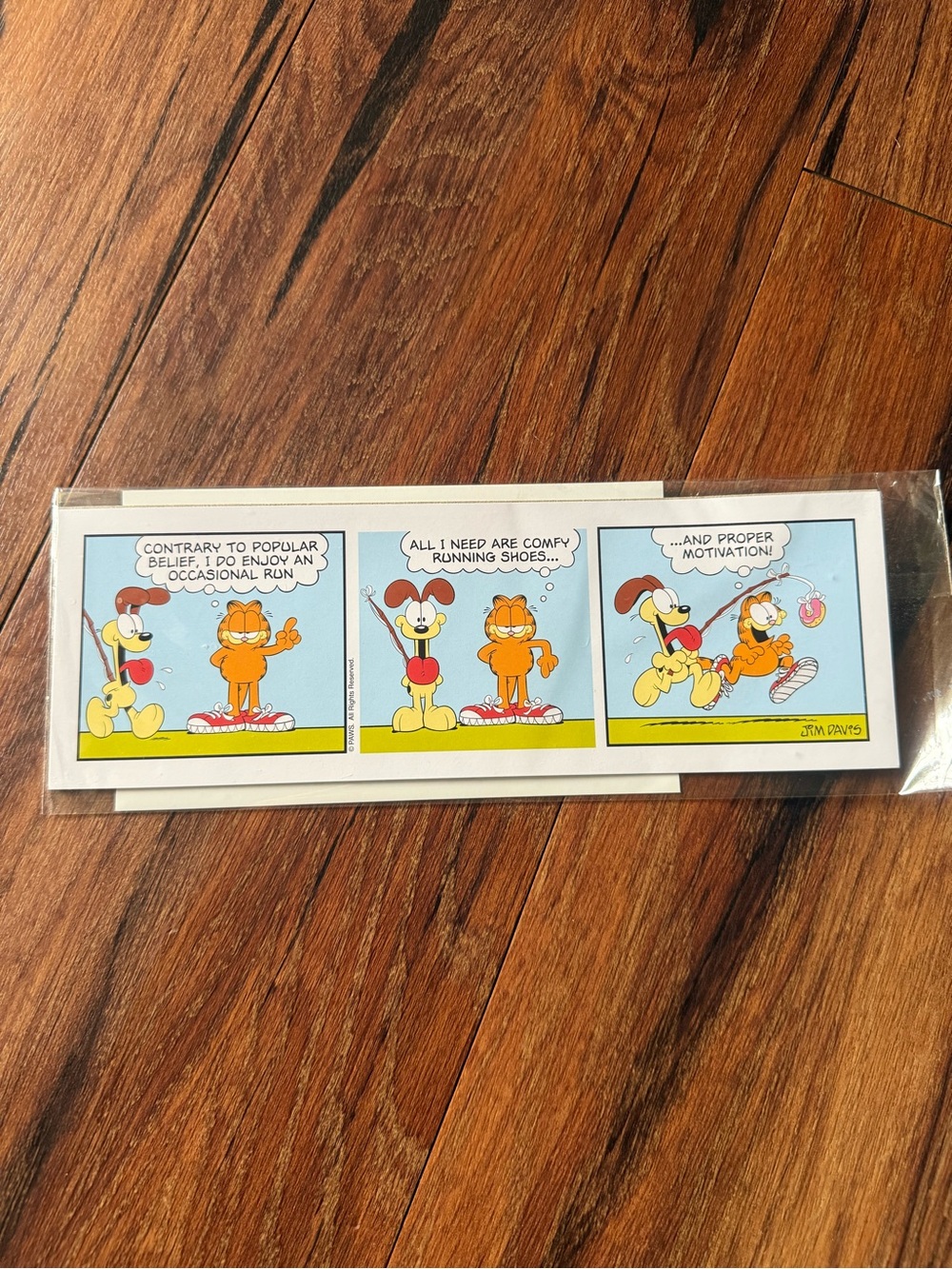 Garfield Comic Strip Wall Art Print - Multicolor lithograph - running theme